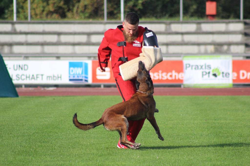 Wenn du etwls ändern könntest lm Hundesport, wls wäre dls? Ich würde gerne ändern: Hundesport wieder viel mehr im Team betreiben. Den Neid und die Missgunst die of durchschlägt ein wenig unterbinden.