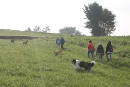 auf dem Hundeplatz folgte ein