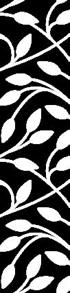 Salus Schlagwortverzeichnis Traditionelle Anwendung von Heilpflanzen Anwendung Nieren-/ Blasenkatarrh Rheuma Verdauungsfunktion Völlegefühl Teesorte Harnsäurelöser-Tee Kräutertee Nr.