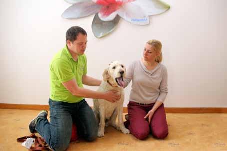 Ausstattung und Service Das neue Heiligenfelder Zentrum für Tierbegleitete Therapie bietet ein hohes Maß an Komfort für jeden Tierhalter und seinen Schützling.
