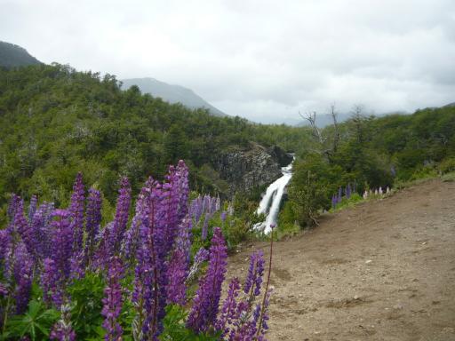 Diese führte durch die Nationalparks Lanín und Nahuel Huapi.