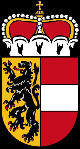 8 Ihre Wünsche an den Salzburger Landtag Wer möchte, kann einen Vorschlag an den Landtag schicken. Dazu müssen Sie einen Brief schreiben.