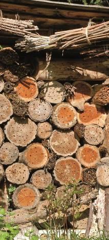 Was sollte man beim Bau eines Insektenhauses beachten? Trockene Nistmaterialien!