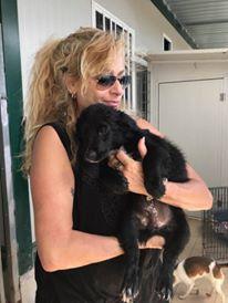 Im Mai reiste ich mit 2 Bekannten nach Olbia / Sardinien, welche uns angefragt hatten, ev. das Refugio L.I.D.A (Lega Italiana diritti Animali) zu unterstützen und mit Hundeadoptionen zu helfen.