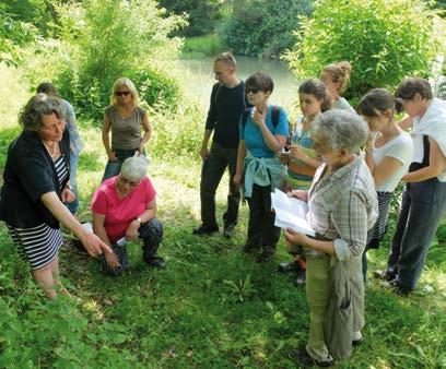 Pflanzenmythologische Kräuterwanderung zur Klosterruine Wörschweiler Vom Gnadenbild zur Marienwallfahrt im Wallfahrtskloster Blieskastel Mai Kräuterwanderung Gabriele Geiger Freitag, 4. Mai (15.