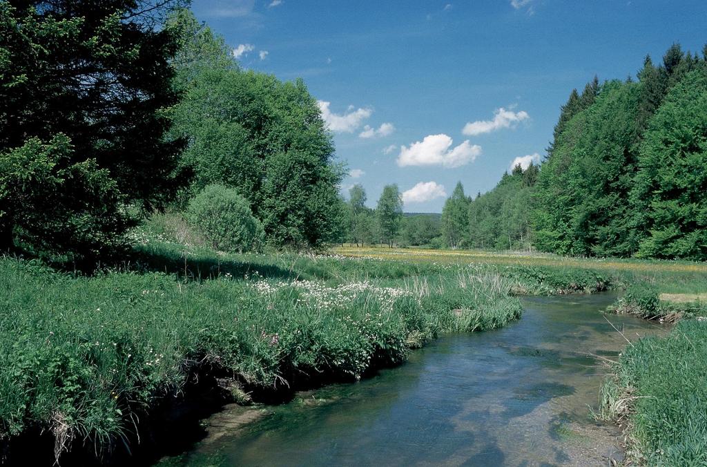 Biotopverbund am längsten Bachsystem Bayerns Besuchen Sie