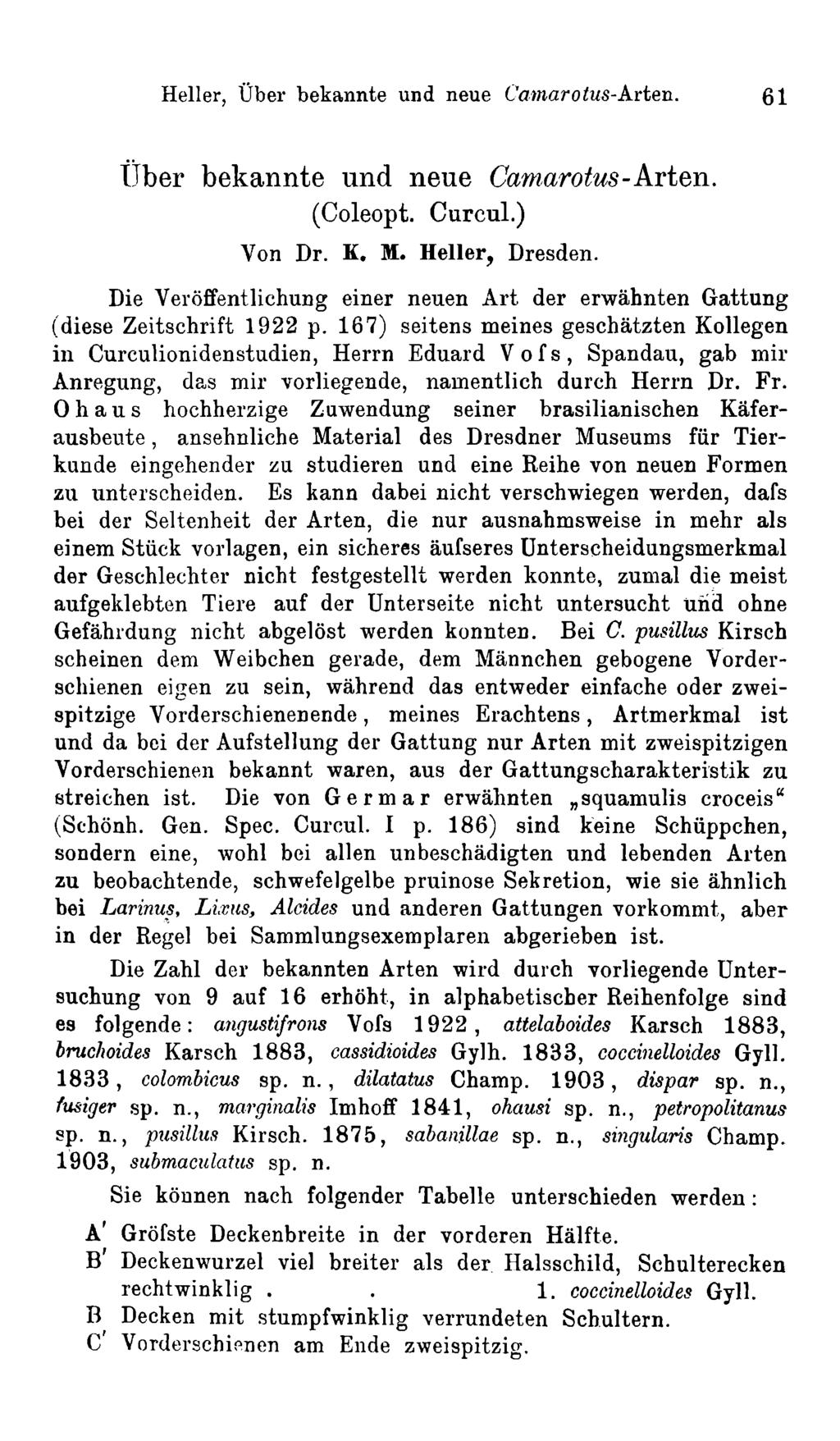 Heller, Über bekannte und neue Cam arotus-arten. 61 Über bekannte und neue Cam arotus-arten. (Coleopt. Curcul.) Von Dr. K. M. Heller, Dresden.