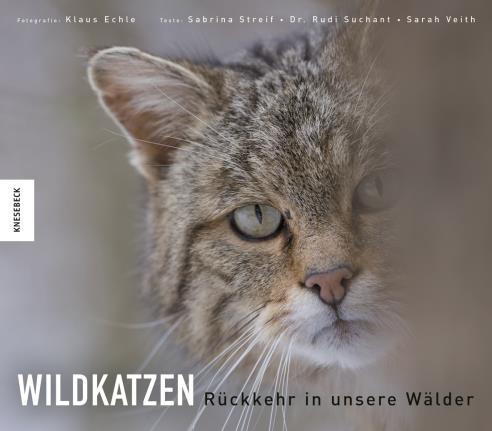Pressetext Wildtier des Jahres 2018 Bis vor wenigen Jahren galt die Wildkatze in Deutschland als ausgestorben, jetzt findet das scheue Tier seinen Weg zurück in die heimischen Wälder und fasziniert