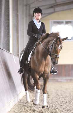 Das Schulterherein: Diese Übung kann einem Pferd vor allem dabei helfen, die Schwerpunktverlagerung vom inneren Vorderbein in Richtung des äußeren Hinterbeines zu lernen (die es für Kurven und
