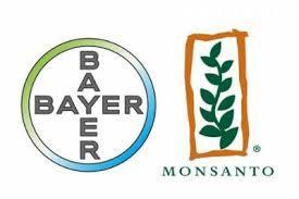 Brasilien lässt Bayer und Monsanto warten Das Brasilianische Kartellamt lässt sich Zeit: Die Behörde verlängerte die Prüfzeit für den Zusammenschluss von Bayer und Monsanto um 90 Tage.