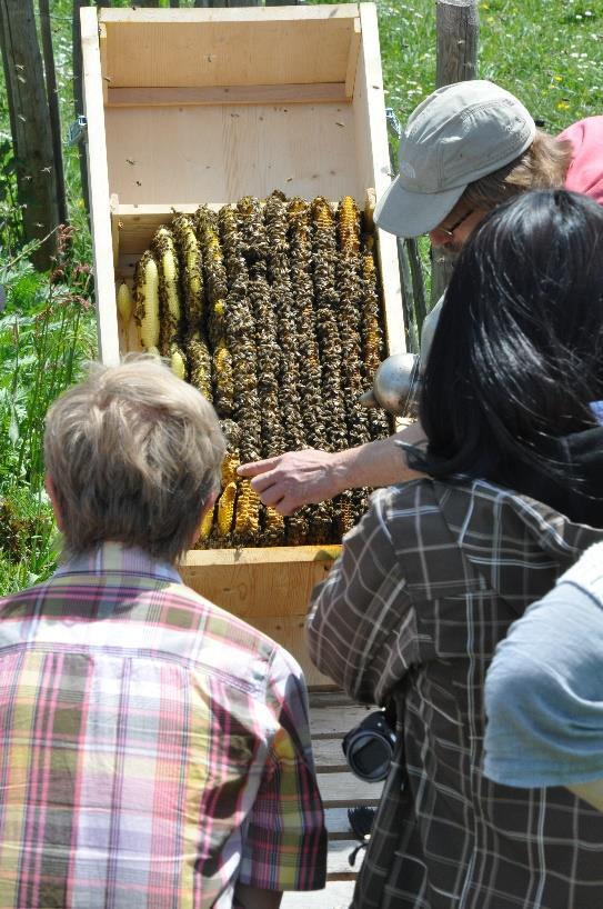 Einfache Bienenhaltung für den Bauernhof Eine Form der extensiven Betriebsweise stellt die Bienenkiste dar, eine moderne Form des traditionellen Krainer Bauernstockes.