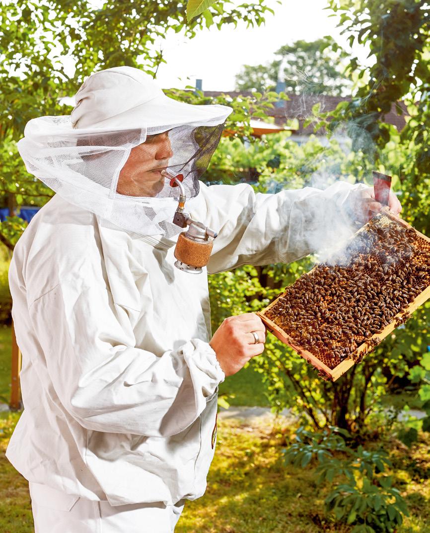 Jacken-Handschuhe Weiße Jacke BienenzuchtBauernhof die Schleier für Imker DHL 