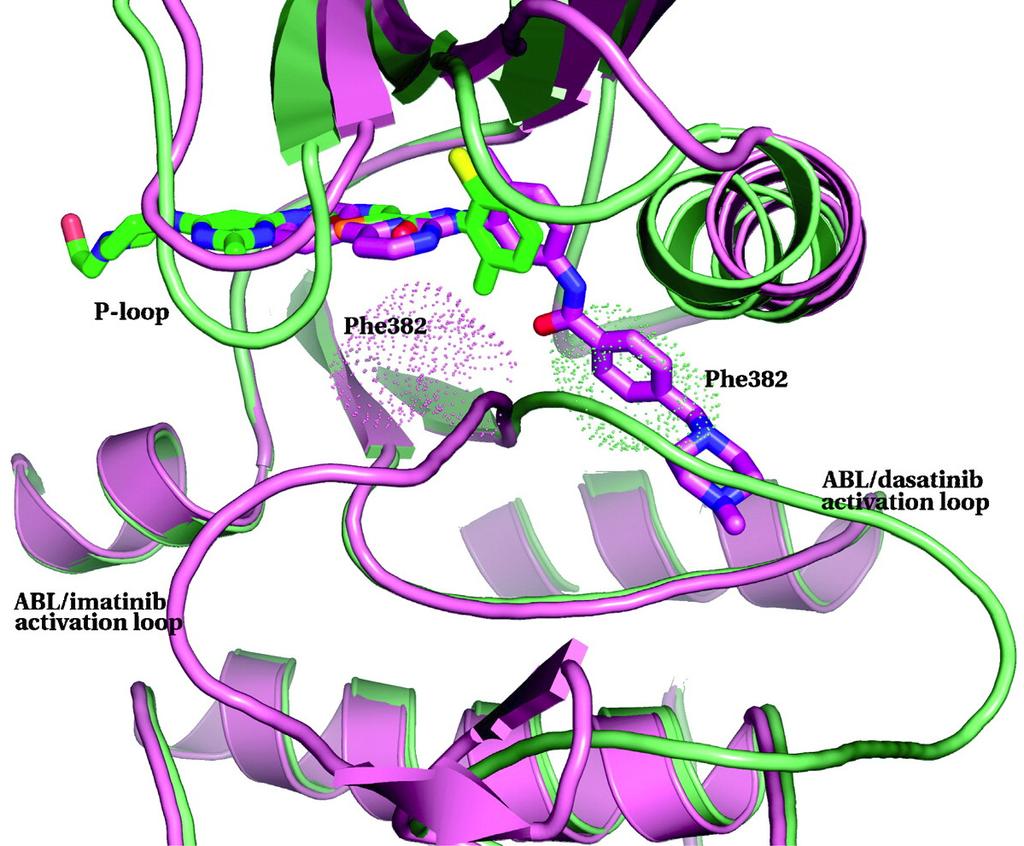 In Abbildung 7 sind die Bindungen von Imatinib und Dasatinib an die BCR-ABL Tyrosinkinase im Vergleich dargestellt. Erkennbar sind die unterschiedlichen Konformationen des Proteins. [6] Abb.