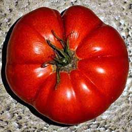 Diese Tomate erinnert durch die starken Rippen an ein Akkordeon, daher auch der Name. Das Aroma dieser Tomate ist süß und mild.