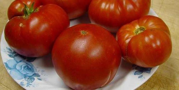 Geschmack Eine Tomate aus Kenia. T5066. T5067.