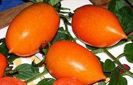 Fruchtform/Typ : Fleischtomate - rund Fruchtform/Typ : normale Tomate Fruchtgröße : ca. 150-300 Gramm Fruchtgröße : ca.