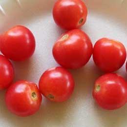 T5028. T5029. Amish Red Brandy Sweet Plum Fruchtform/Typ : normale Tomate - ovalrund Fruchtgröße : ca. 30-60 Gramm Fruchtgröße : ca.