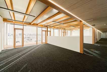 TITELTHEMA Die Vielfalt des Materials BauBuche wird bei den Büroräumen der Firma euregon deutlich sichtbar Räumliche Flexibilität, sagt der Augsburger Architekt Frank Lattke, sei ein wichtiges Thema