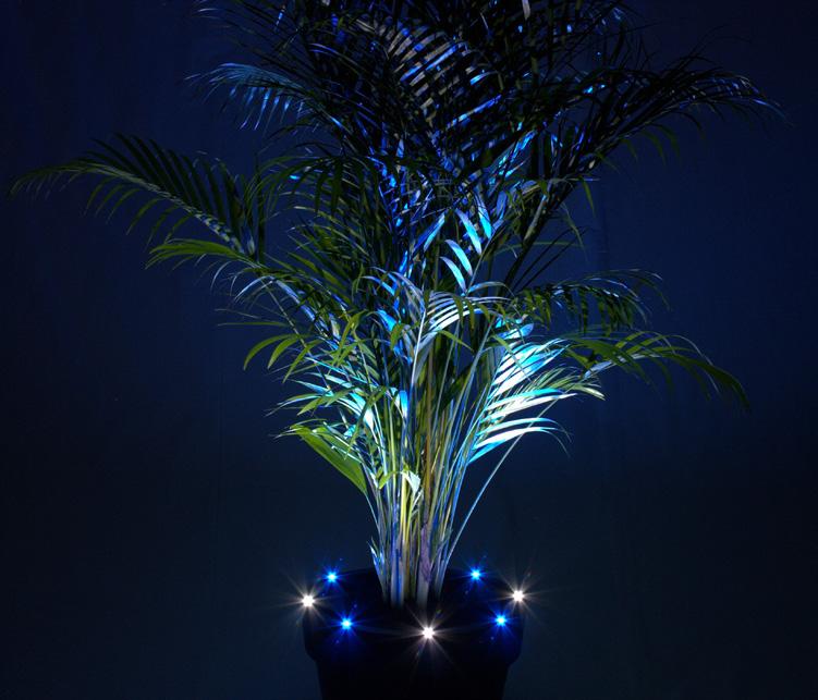 Litepot ist ein vielseitig einsetzbares Pflanzgefäß mit innovativer Beleuchtung.