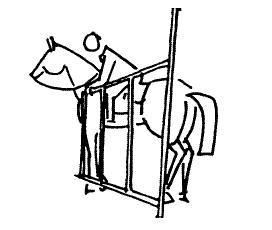 Nr. 12: TOR Tor mit Drehachse, das im Sattel geöffnet und geschlossen wird (kann in der Serie 3 ein Seil sein) Mindestbreite 2 m Gehorsam und Mitarbeit des Pferdes, korrekte Haltung des Reiters.