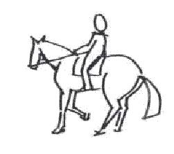 Nr. 16: RÜCKWARTSRICHTEN GERITTEN Rückwärts Richten von 4 m in einer vorgegebenen Piste von grundsätzlich 8 m Länge, markiert durch Stangen Breite mindestens 0,8 m Aufzeigen, dass das Pferd beim