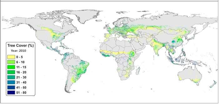 Globale Ebene: Flächenreleveanz Weltweit wendet 30% der ländlichen Bevölkerung agroforstliche Systeme an 43% der