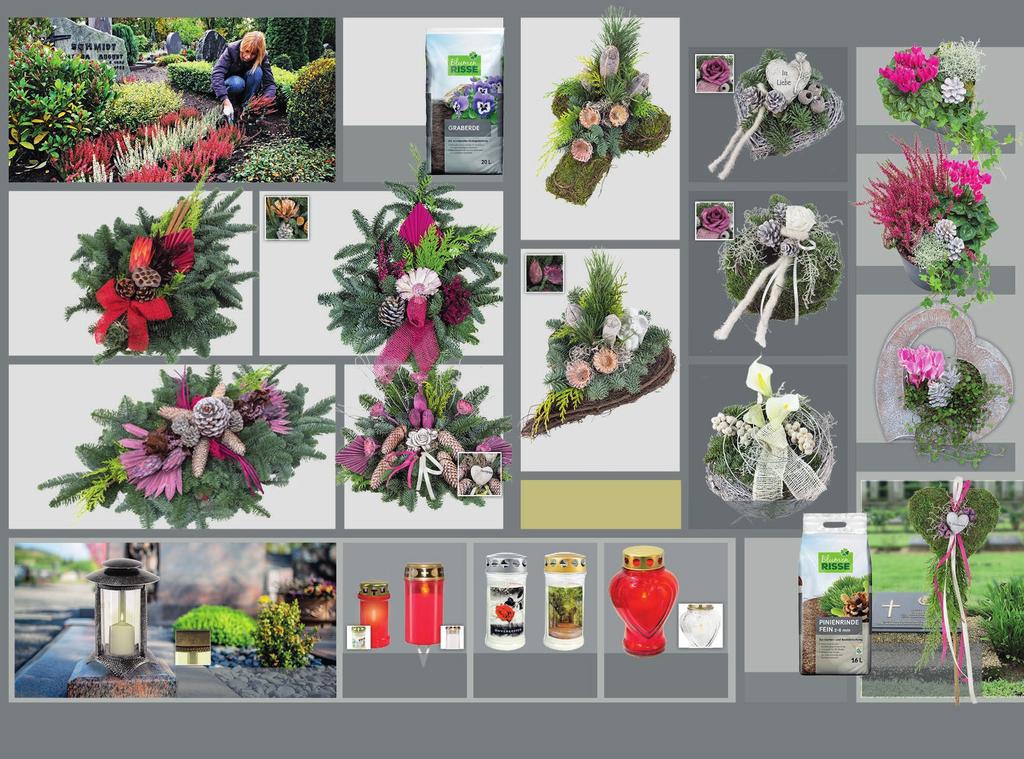 Featured image of post Blumen Risse Gartencenter - Hier findest du alle filialen von blumen risse in stuttgart.