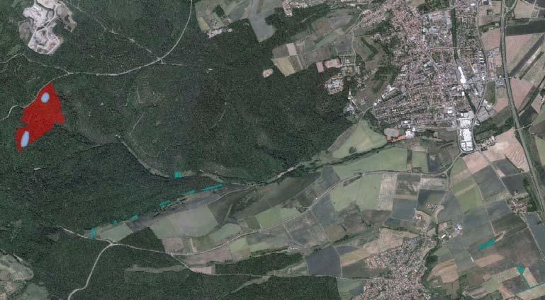 de/ mapserver_lanis Luftbild NSG Drosselfels- Schwarzfels mit Maßnahmenflächen de/