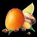 100% Ananas Mango gewürzt Art.