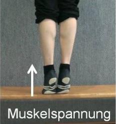 1 Wadenmuskulatur Übung 7 Die Füße mit dem vorderen Teil der Fußsohlen auf eine Bank stellen.