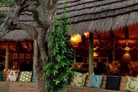Tag 3 bis Tag 5 Kasane 2x Übernachtung mit Vollpension und 4 Aktivitäten Chobe Bakwena Lodge 2 Nights Package (Standard Room) - optional gegen Aufpreis buchbar - Der Nordosten Botswanas bietet