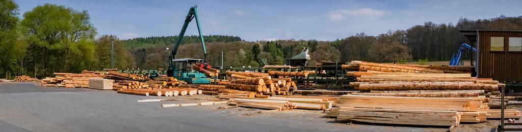 Vom Wald zum Werk 11a1 Holzwirtschaft Industrie 4.