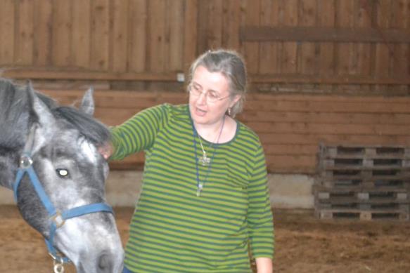 . Sabine Wallner, die seit vielen Jahren Tiere trainiert, zeigt wie es geht ein Pferd zu entspannen. Die Schüler dürfen es nachmachen.