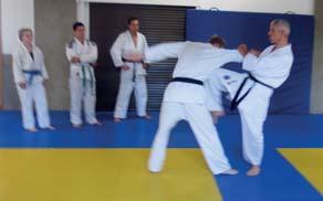 Weiter ging es mit diversen Karate-Schlagtechniken zunächst in technisch präziser Ausführung.
