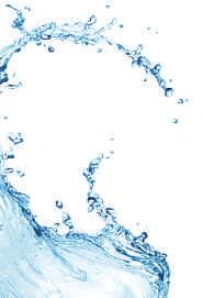 Wussten Sie eigentlich? Wissenswertes über das Wasser Ein Mensch trinkt im Laufe seines Lebens ca. 75 000 Liter Wasser. Dehydrierung (Wassermangel) beeinträchtigt unsere Konzentrationsfähigkeit.