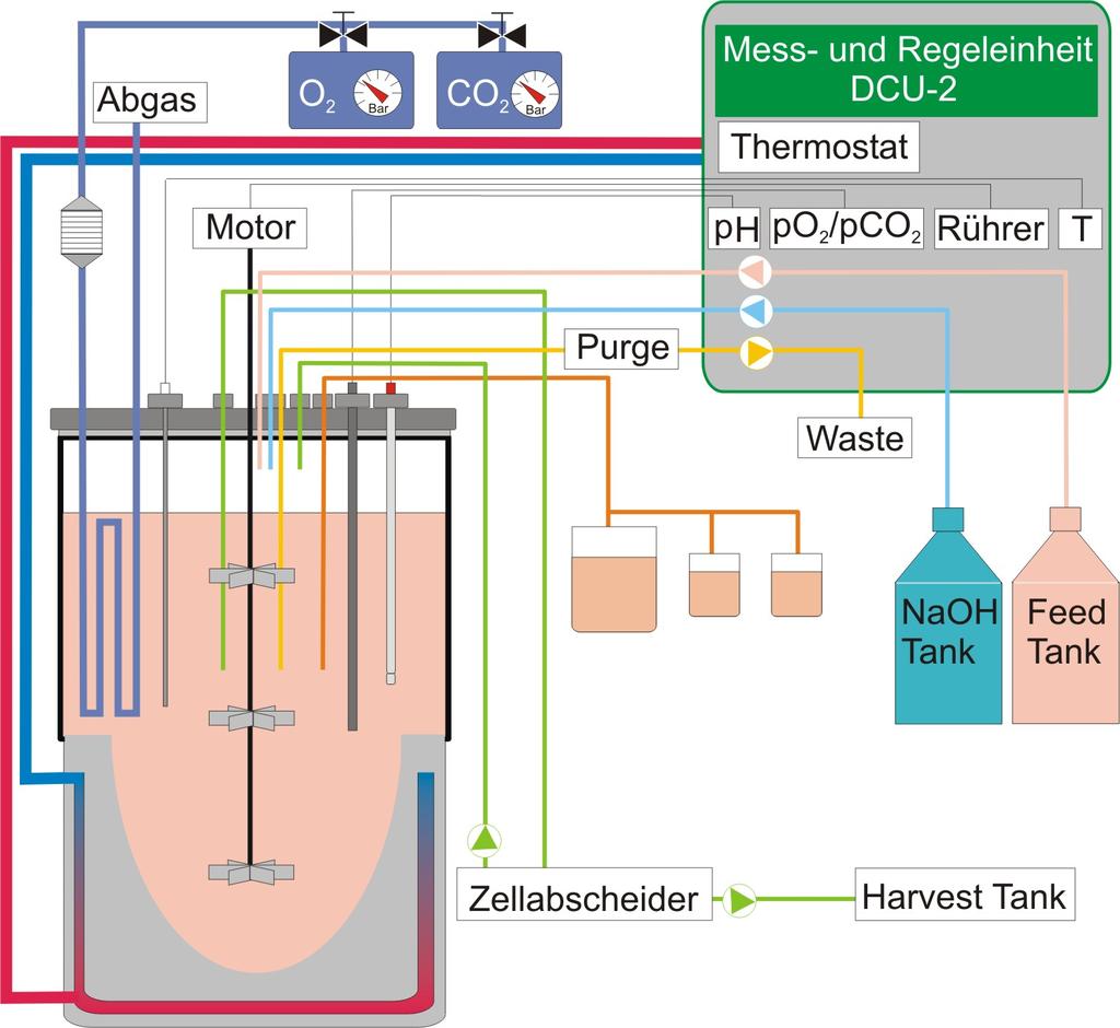 Kapitel 9 - Anhang Abb. 66. Setup eines 5 L-Stahl-Plexiglasreaktors zur Kultivierung von BHK-21. Am Reaktor befinden sich sechs 25 mm Seitenports in einem Winkel von 60.