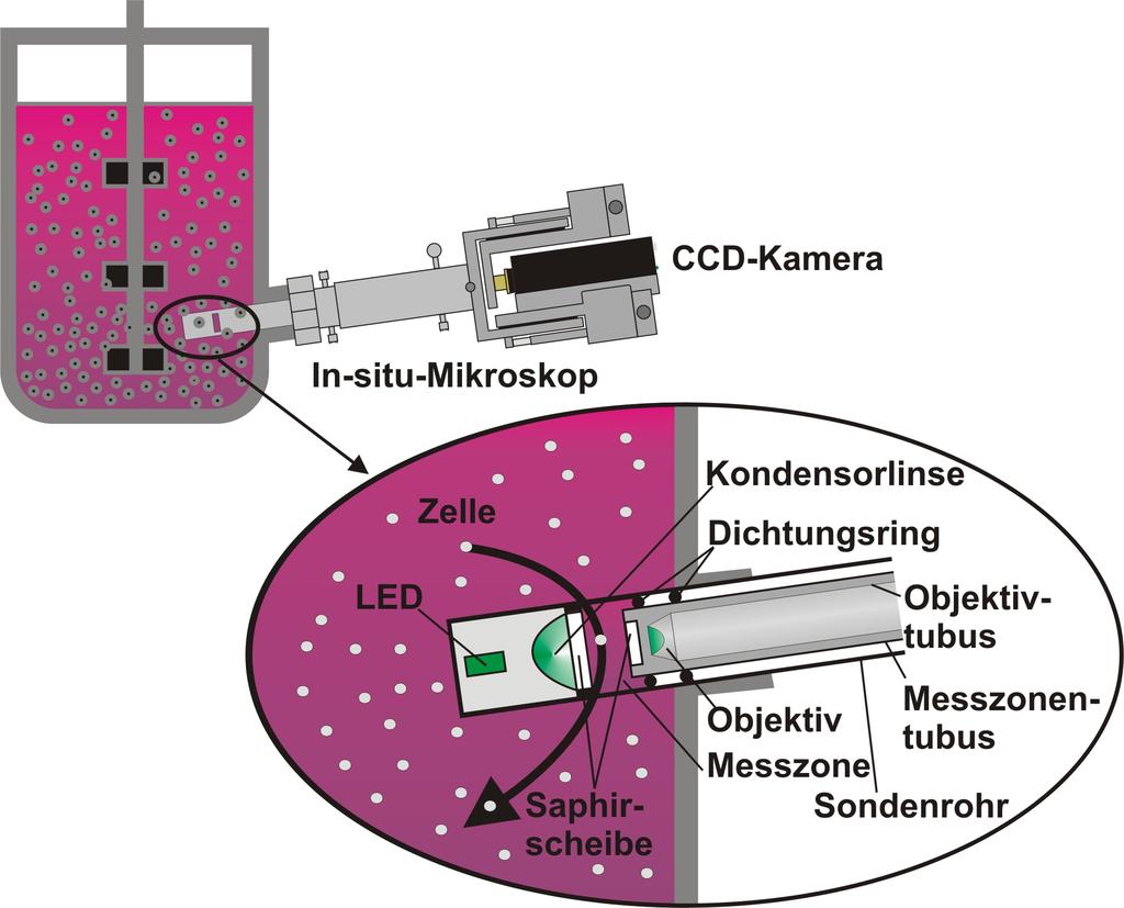 Kapitel 3 - Entwicklung eines industrietauglichen Prototyps Allerdings kann auch durch hohe Zelldichten die Notwendigkeit einer Verringerung der Messzonenhöhe entstehen.