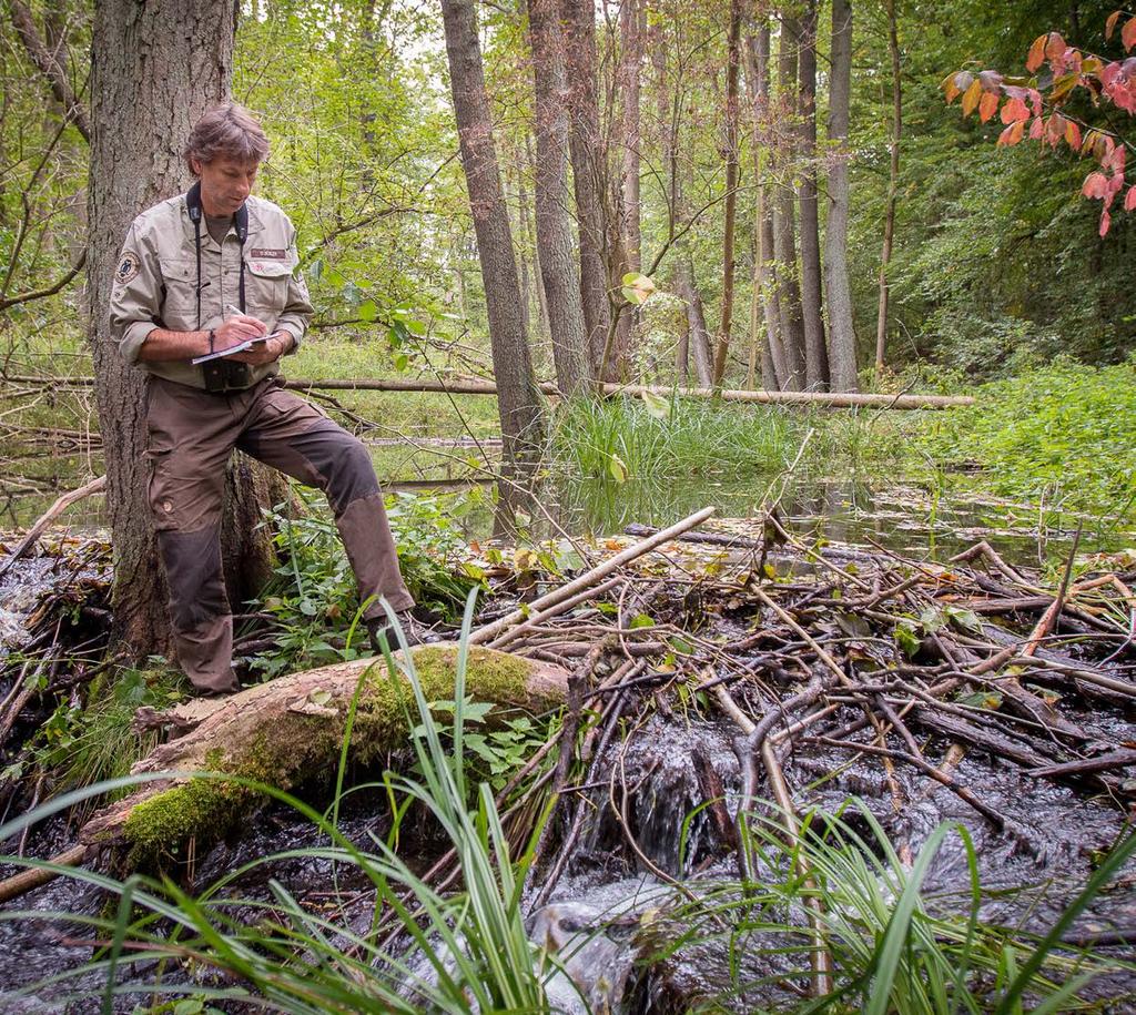 Die Arbeit der Naturwacht in 2017 Die Ranger der Naturwacht Brandenburg arbeiten seit 27 Jahren in 15 Großschutzgebieten erfolgreich als Mittler zwischen Mensch und Natur.