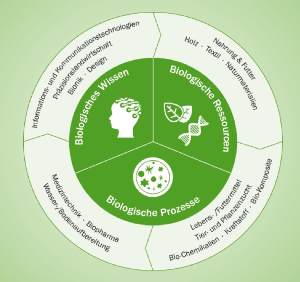 Umfassendes Verständnis der Bioökonomie Nachhaltige Erzeugung und Nutzung biologischer Ressourcen