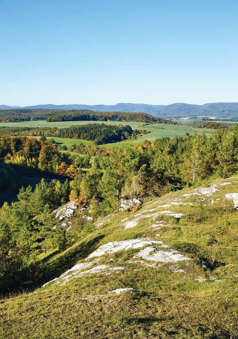 Land in Gips: An den Sattelköpfen bei Hörningen drückt das Karstgestein an die Oberfläche Wiesen und Gips verbinden sich zu einem Mosaik in grün-weiß Der Regen hat aufgehört.