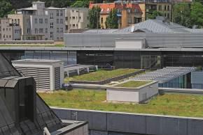 jpg Die Pflanzengemeinschaft Klima-Gründach wurde im Rahmen eines Forschungsprojektes der Deutschen Bundesstiftung Umwelt und in