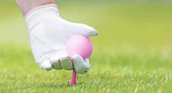 16 golf region BINE STICHT Bine sticht: In dieser Ausgabe möchte sie sich einmal über das am Dienstagnachmittag stattfindende Damengolf, kurz DIDAGO Gedanken machen.