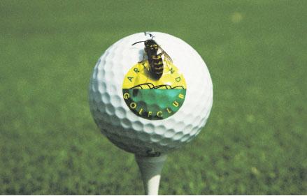 30 golf region ARTLAND GOLFCLUB e.v.