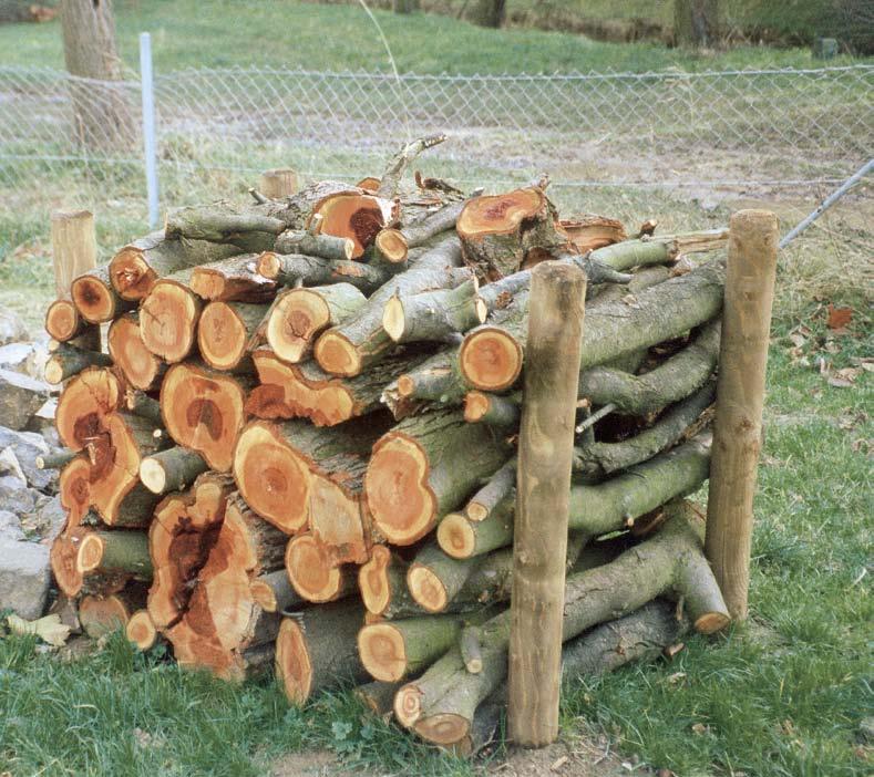 zersetzt. Pflege Ein Holzstoß braucht wenig Pflege. Lediglich zu starker Pflanzenwuchs um ihn herum muss eingedämmt werden.