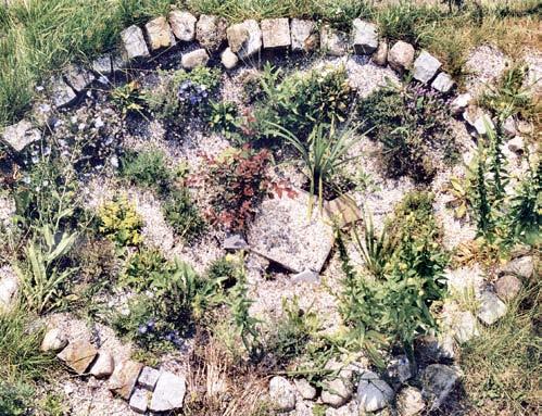 Kraterbeet Das Kraterbeet gilt als ungewöhnliches und dekoratives Element eines Gartens.