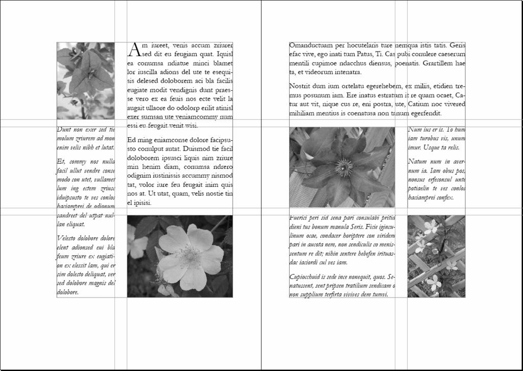 3 InDesign CS3 - Grundlagen Fügen Sie die folgenden Bilder ein: Seite 2, oben: Magenta.jpg Seite 2, unten: Wildrosa.jpg Seite 3, oben: Clematis.jpg Seite 3, unten: Kletterblume.