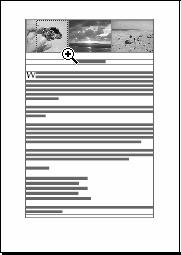 Sie Dokumente in unterschiedlichen Vergrößerungsstufen darstellen. Der jeweils aktuelle Zoom-Faktor wird in der Titelleiste und der Statusleiste des Dokumentfensters angegeben.