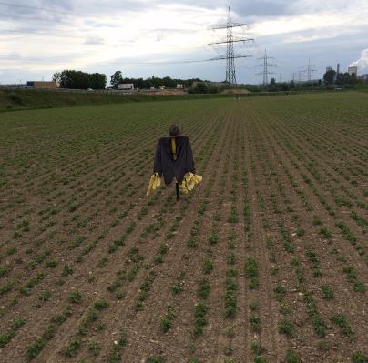 Köln Aachener Bucht, 1 km vom vorherigen Feld mit