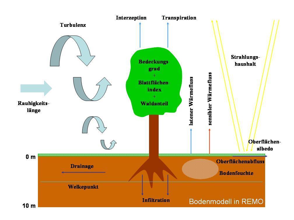 Landdegradation Prozesse der Vegetationsdegradation: - Bedeckungsgrad der Veg.