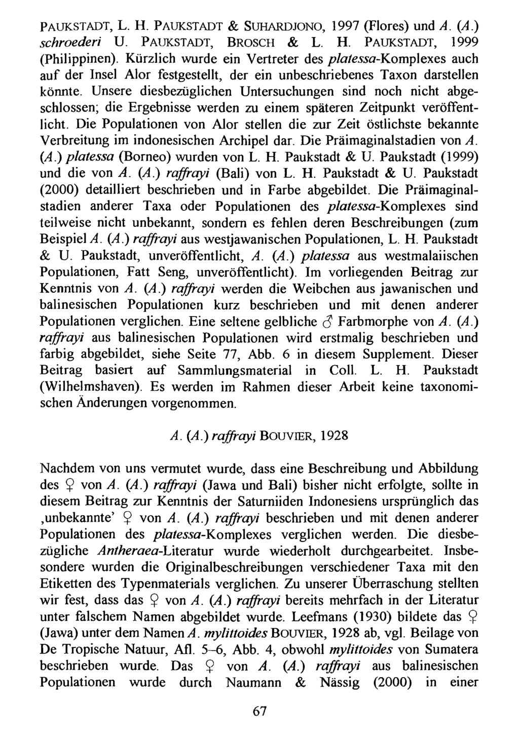 Paukstadt, L. Kreis H. PNürnberger aukstadt Entomologen; & Suhardjono, download unter www.biologiezentrum.at 1997 (Flores) und A. (A.) schroederi U. PAUKSTADT, BROSCH & L. H. PAUKSTADT, 1999 (Philippinen).